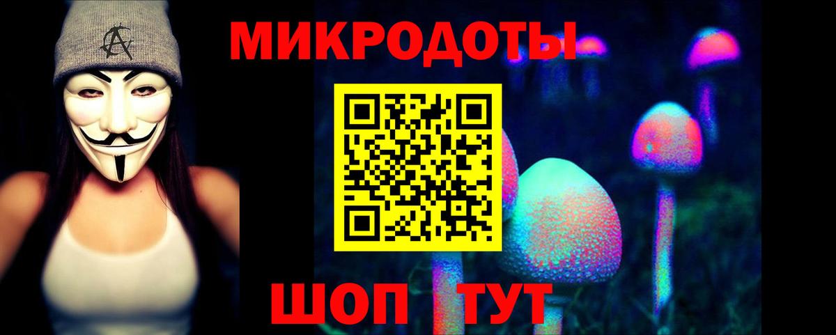 Псилоцибиновые грибы прущие грибы Кубинка